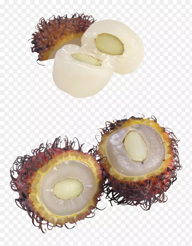 ������֦ˮ��-������