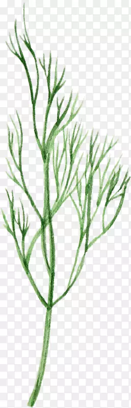 ��ͨ�ֻ��߲�װ�κ�������۲�-������