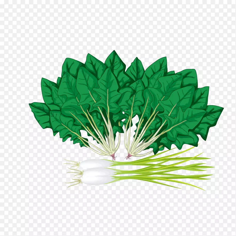 �ֻ沤������ز�-������