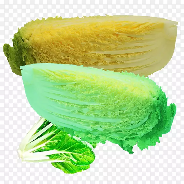 ʵ���л��߲�-������