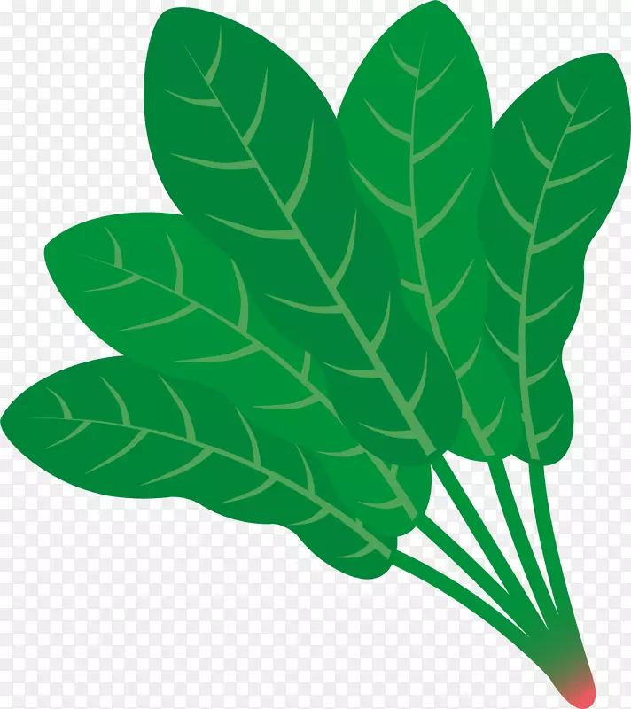 ��ͨ�ֻ��߲�װ�κ�����Ʋ���-������