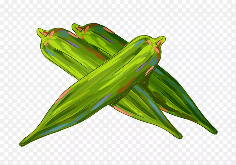 ������ɫ����ֻ�дʵʸ���߲˲�-������