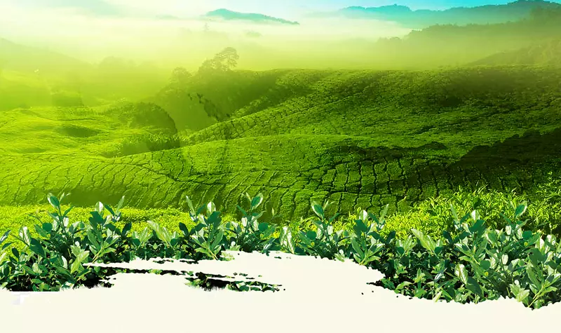 ����-������