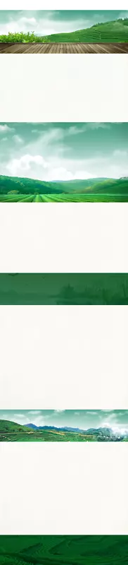 ��Ҷ����-������