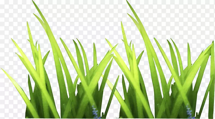 �̲�-������