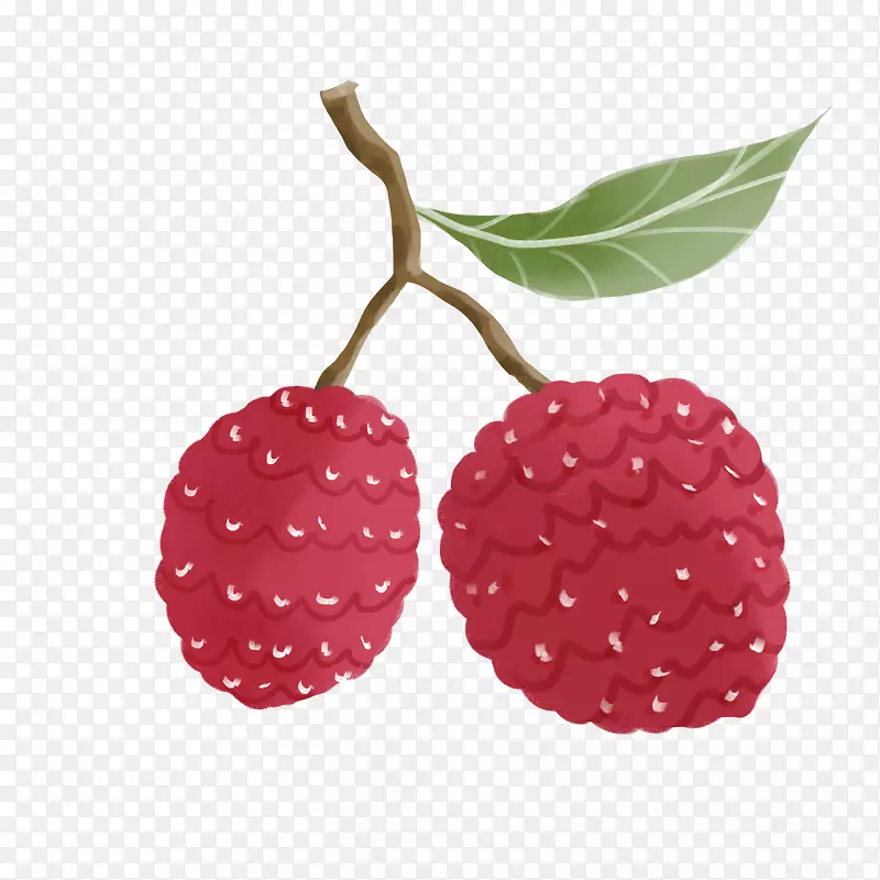 ��ͨ�ֻ�ˮ����֦-������