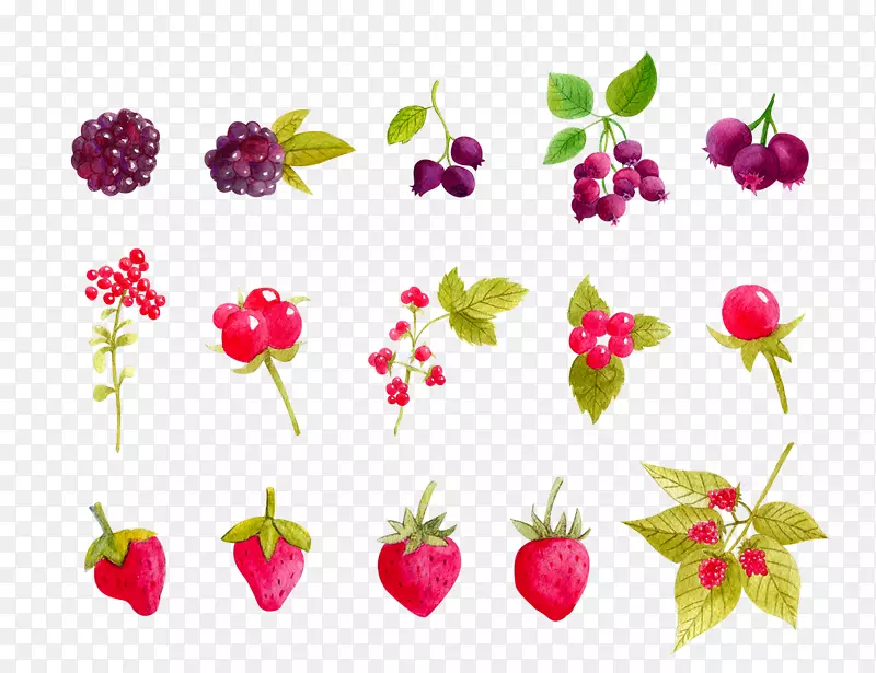 �ֻ�ˮ�����Ѳ�ݮ��֦-������