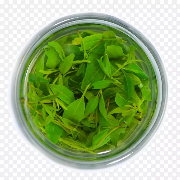 ������Ŀඡ��Ҷ-������