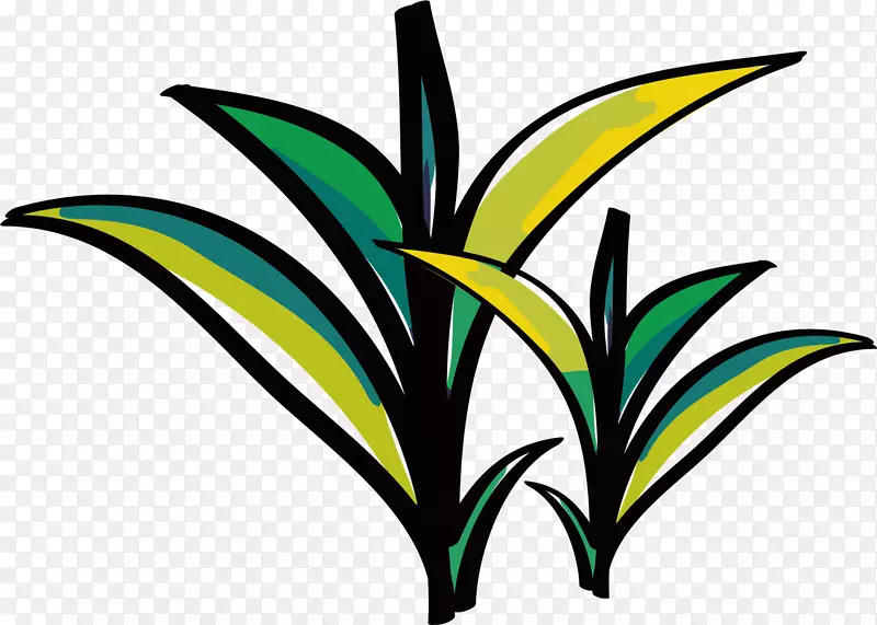 ��С��ˮ�ʲ�Ҷ-������