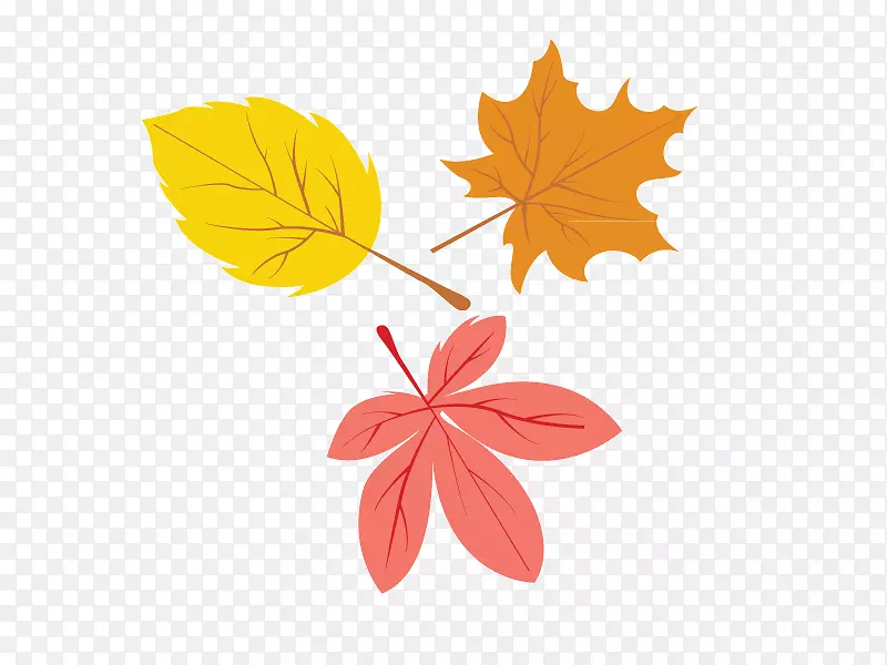 �＾��Ҷ��ͨʸ���ز�-������