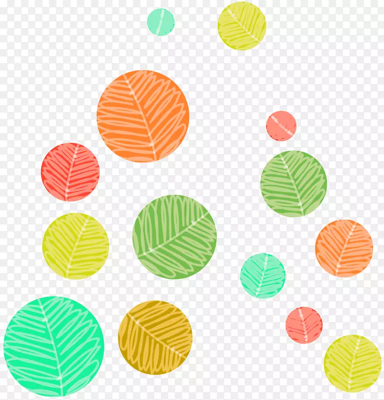 ��ʼ�Լֲ��ԲȦƯ���ز�-������