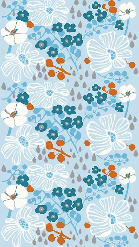 �ֻ��Ժ�ڷɻ��廭-������