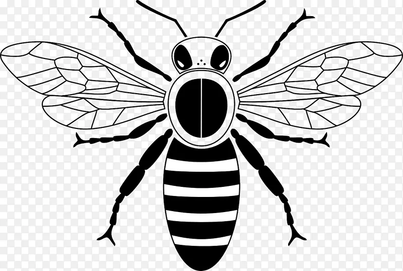 �ڰ�����С�۷�-������