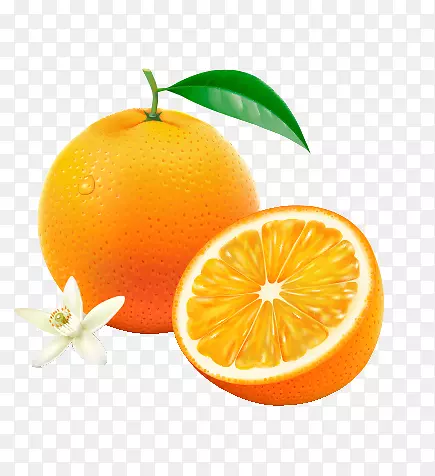 ����ˮ��-������