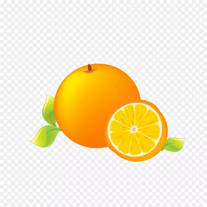 ������ҶPNGʸ��-������