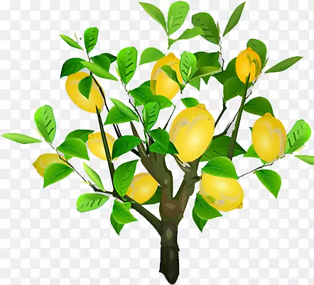 ������-������