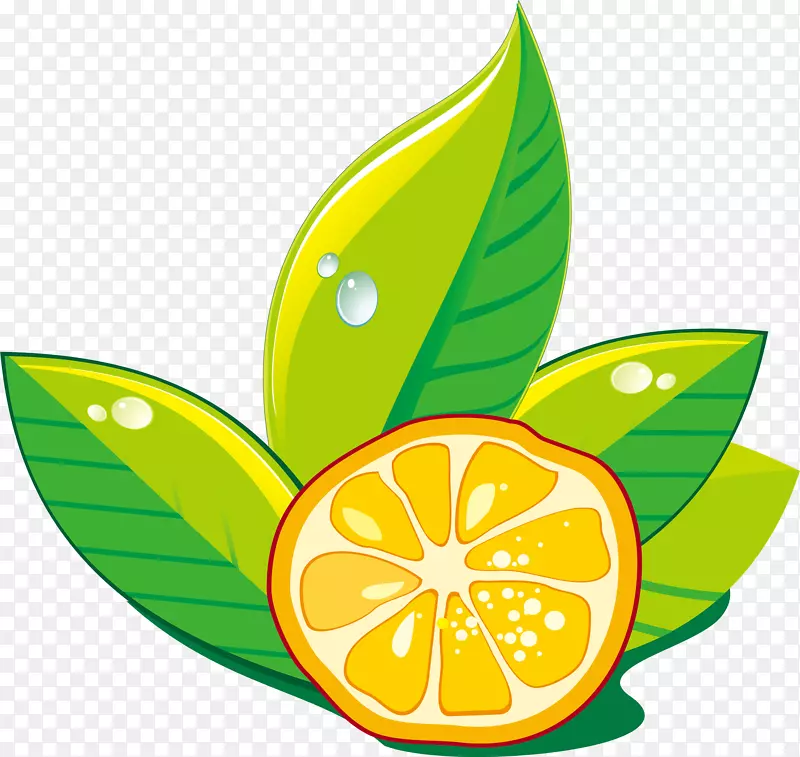 ����pngʸ��Ԫ��-������