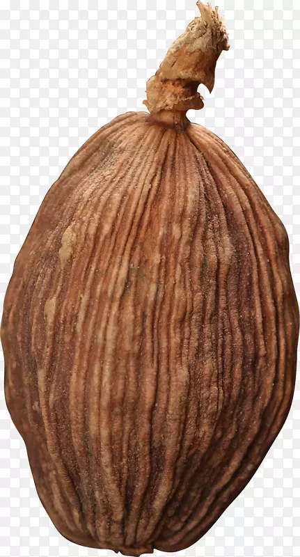 ʵ�����ϵ��ϲݹ�-������