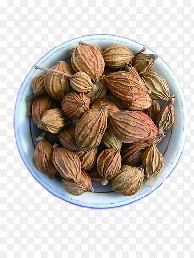 ���ϲݹ�-������