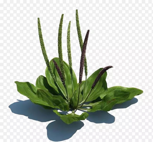 Ұ��-������