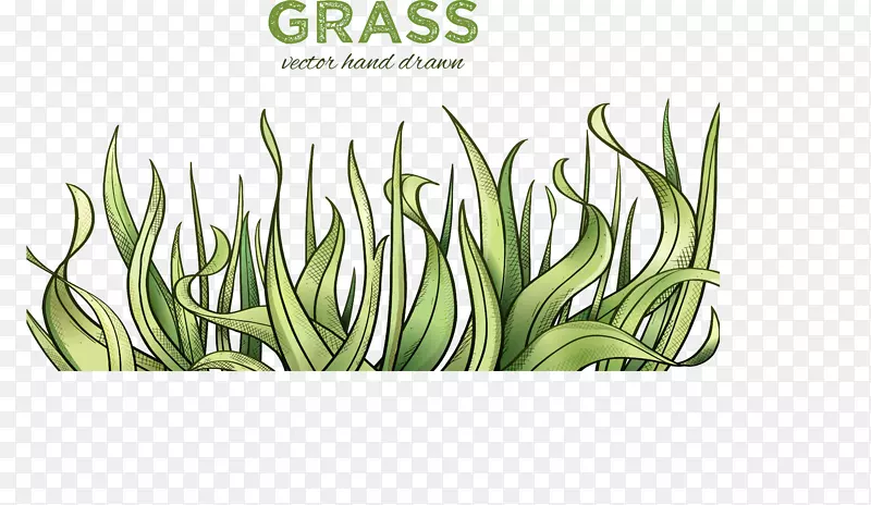 ʸ���ֻ�С��-������