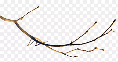 ��֦-������