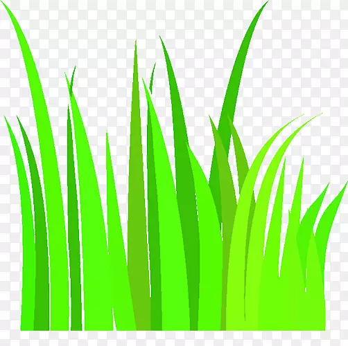 С�����Ԫ��-������