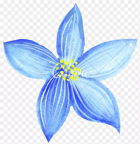 ����ˮ�ʻ�����ˮ�ʻ��׻�-������