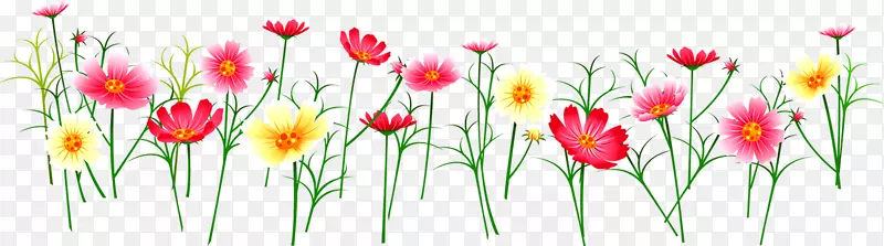 ����С��-������