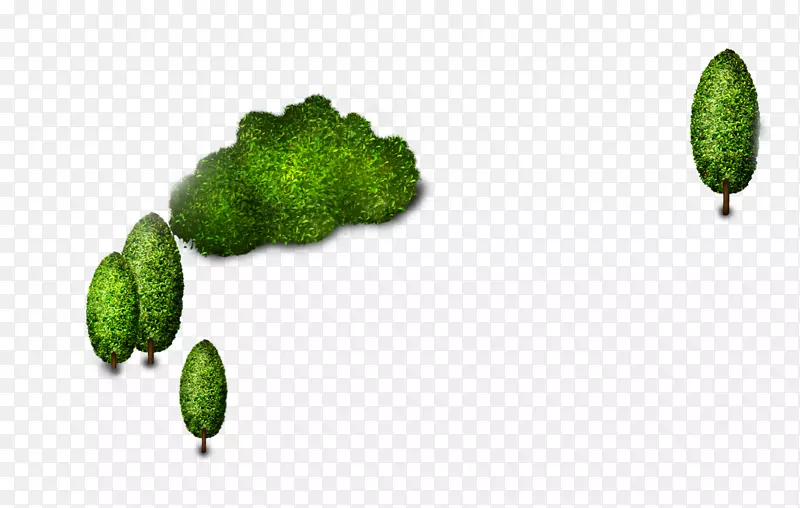 ��ͨС��-������