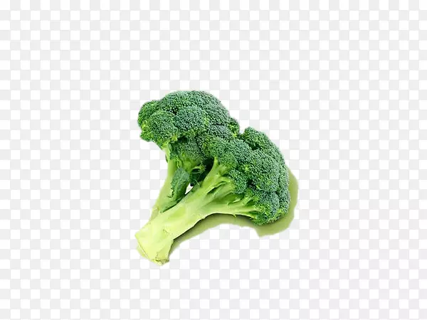 ��Ҭ���߲�ʳƷ��˾-������-������