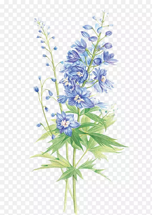 �ֻ�����-������