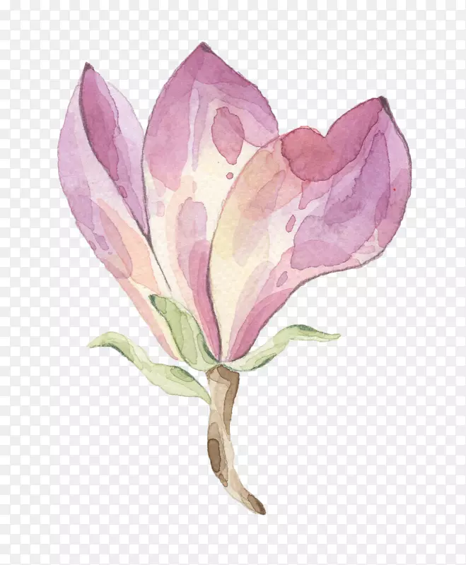 ��ɫ����-������