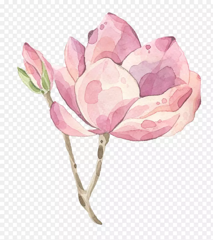 ��ɫ����-������