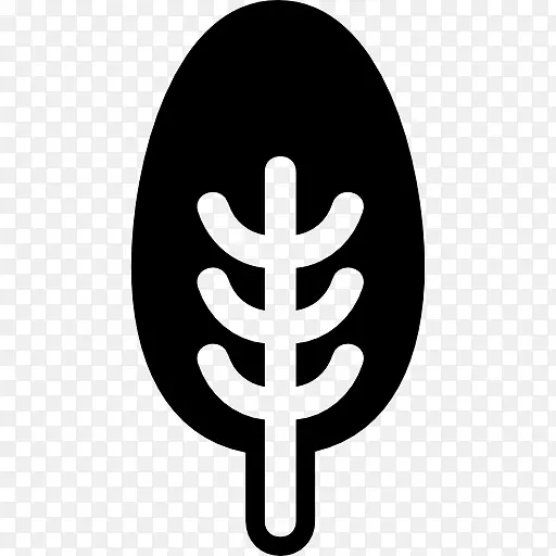 ����Ҷ����״�ԳƵ���Բ��ͼ��-������