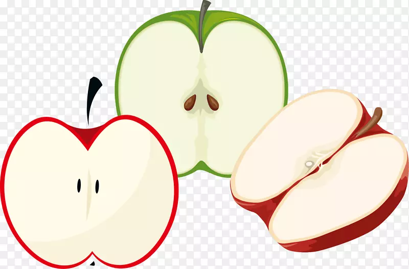 ƻ���п�PNGʸ���ز�-������