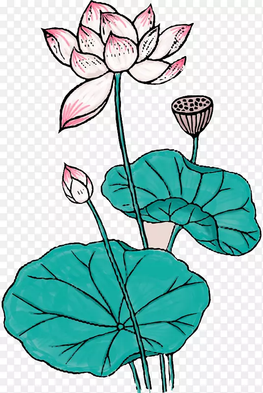 �ֻ�����-������