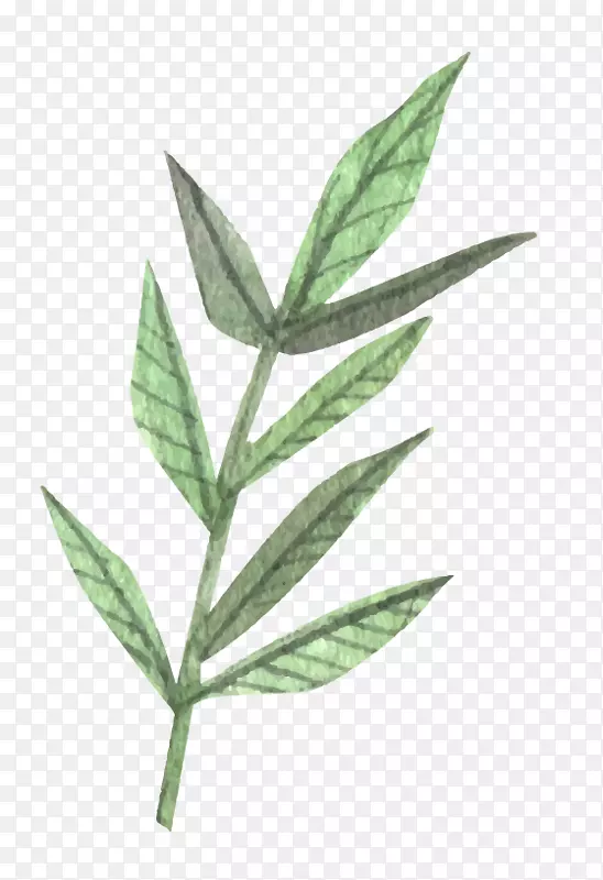 ˮ��װ��Ҷ��ʸ��Ԫ��-������