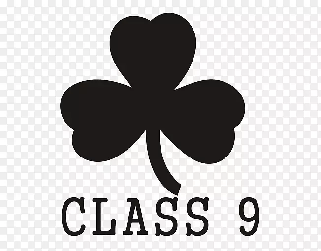 ÷��9-������