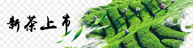 �²�����banner�ز�-������