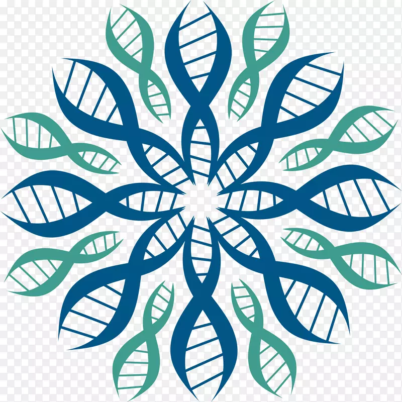 ��ת��������-������