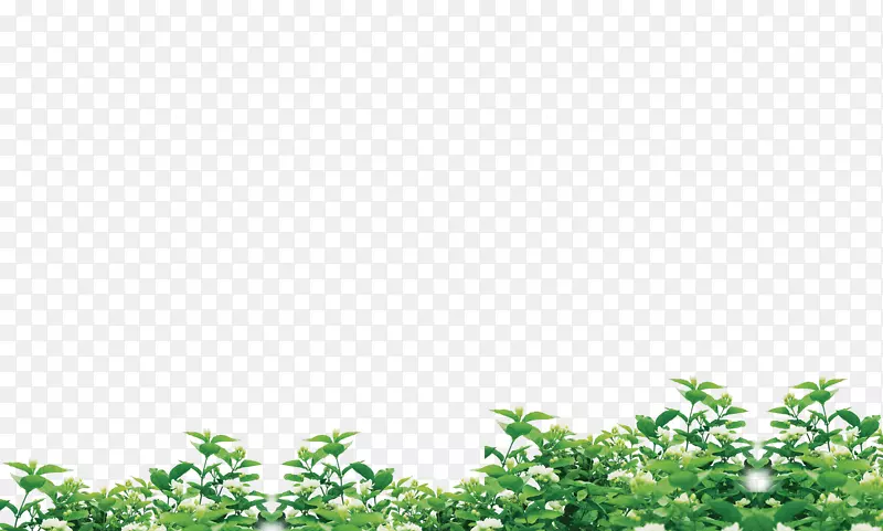 �����̲�-������