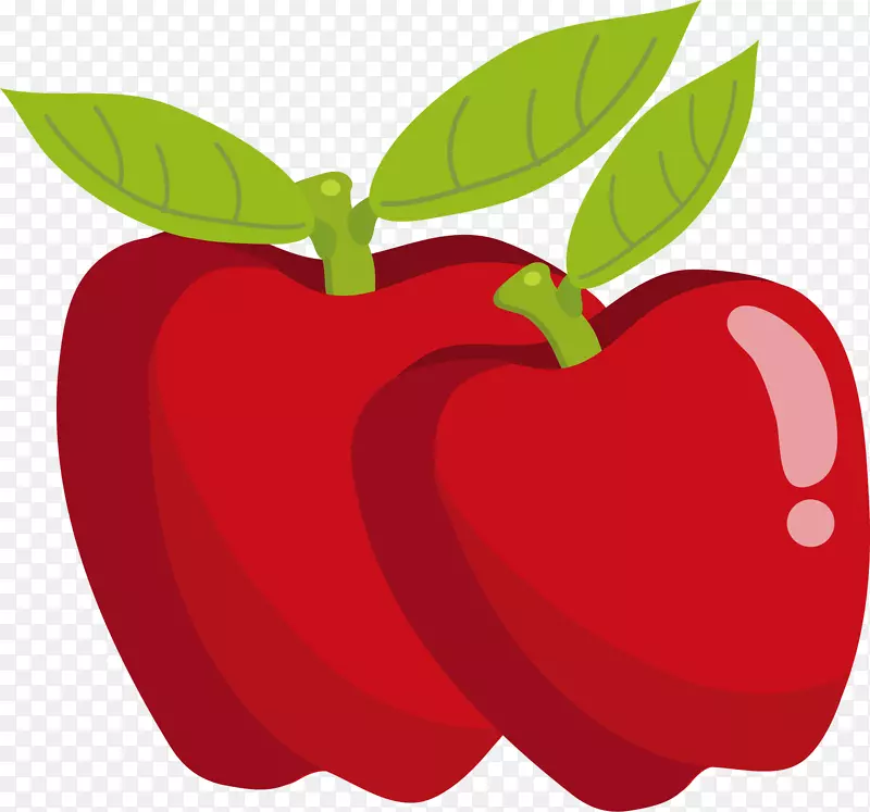 ʸ����ɫƻ���ز�-������