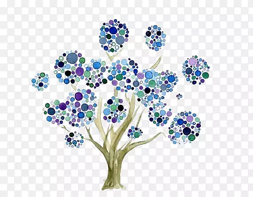 ����Բ��װ���ֻ���-������