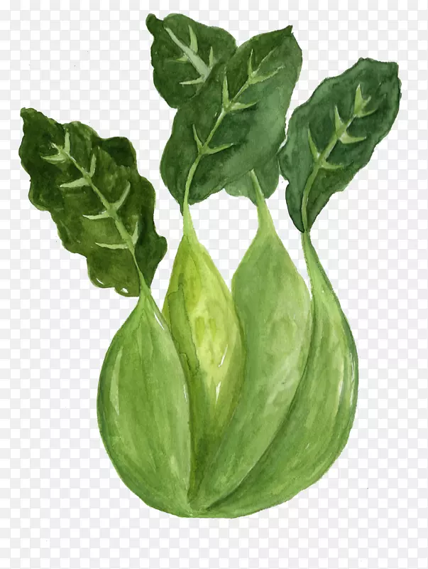 ��ͨ�ֻ��߲�װ�κ������-������