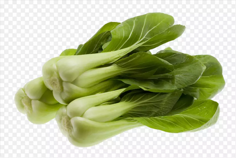 �����߲�-������