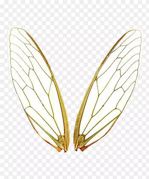 �����ز�-������