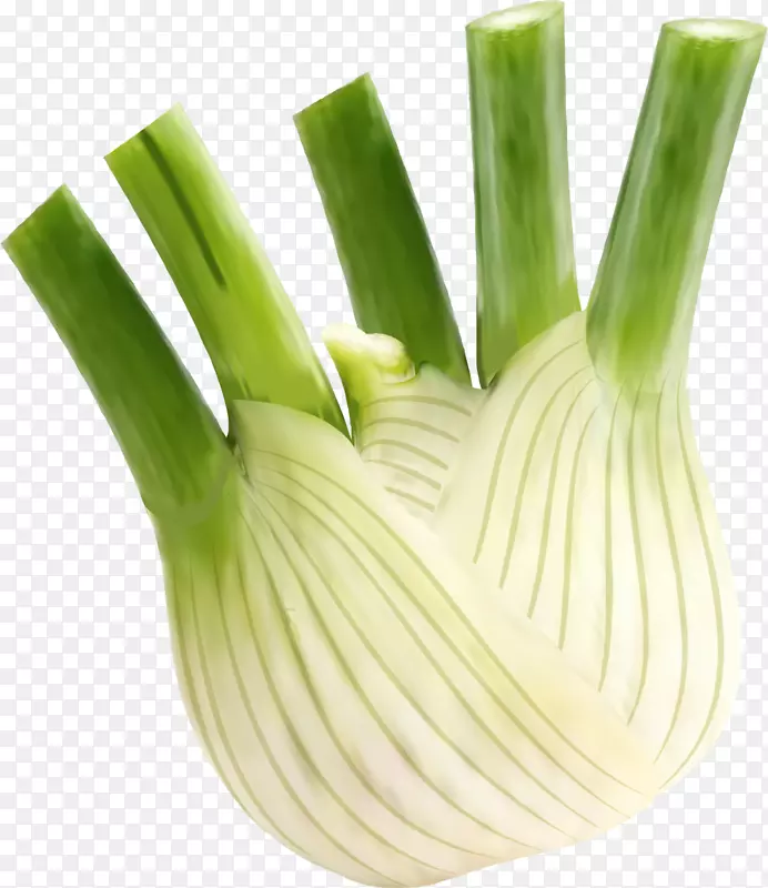 �����ɫ����-������