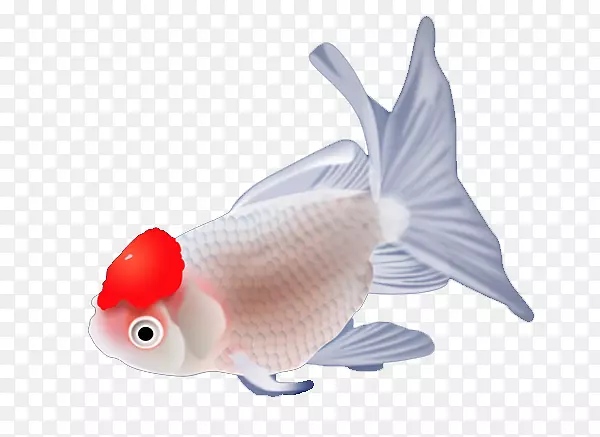 ��ɫС����-������