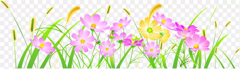 ��ɣ����С��-������